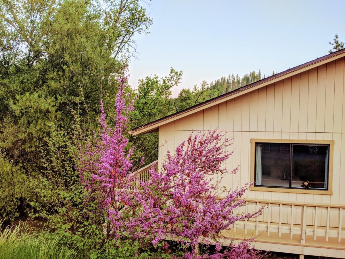 Yosemite Haven @ Pine Mountain Lake. Dog Friendly! Groveland Exterior foto
